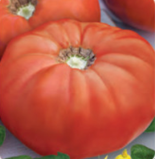 Minunea bunicii